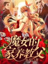 魔女的家养教父小说