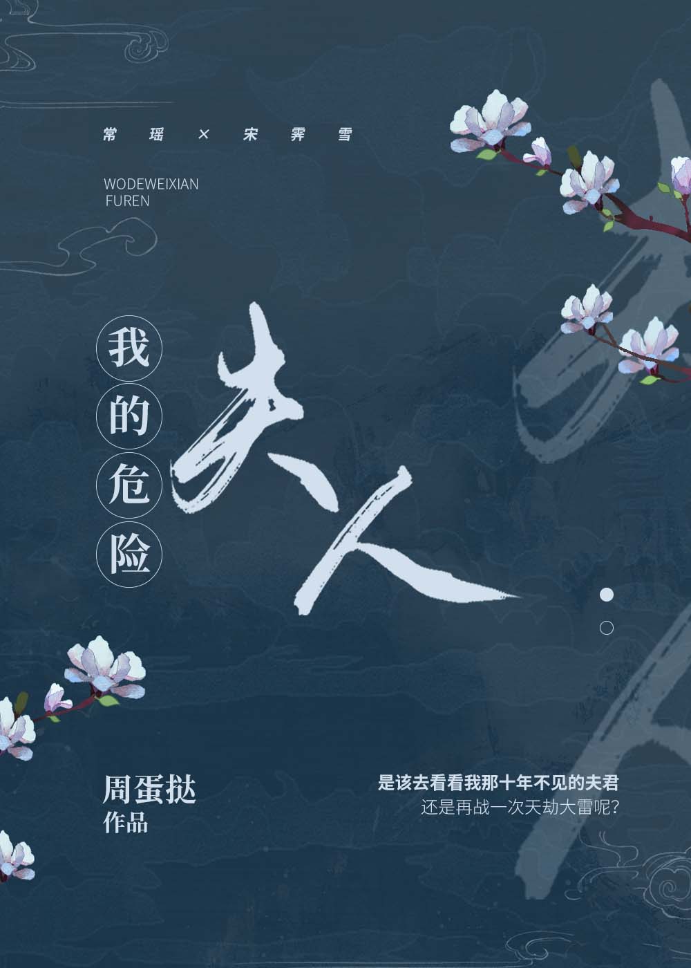 我的危险夫人讲什么