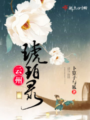 云间琥珀心