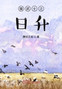 猫武士日神简介