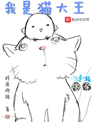 我是猫大王主角多少章变回人