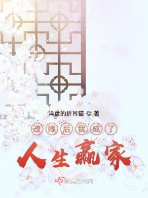 改嫁后我成了人生赢家txt百度云