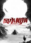风水相婿女主是谁