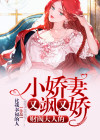 大财阀的小娇妻大结局是什么