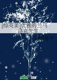[综英美]优雅的兰马洛克先生