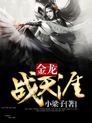 金龙战甲小说