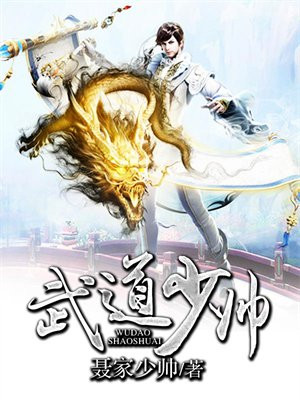 武道少帅 小说