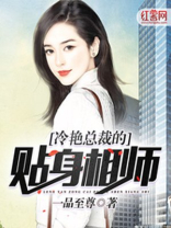 冷艳总裁的贴身相师叶天明