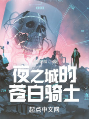 夜之城的苍白骑士小说下载