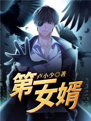 第一女婿免费完整版