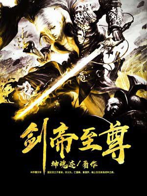 至尊剑帝重生都市 小说