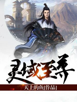 灵域尊者是什么境界