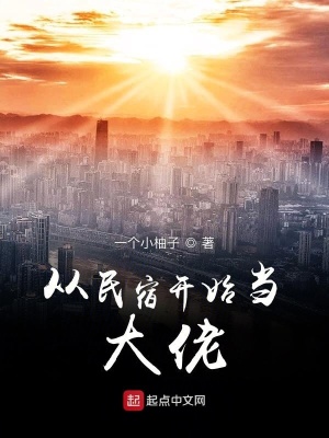从民宿开始当大佬 小说