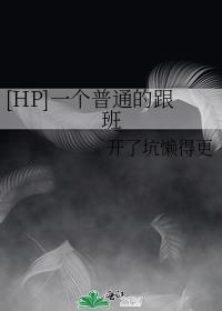 [HP]一个普通的跟班