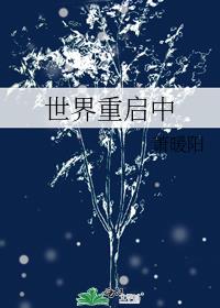 世界重启中综漫