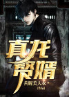 真龙赘婿萧张免费阅读全文