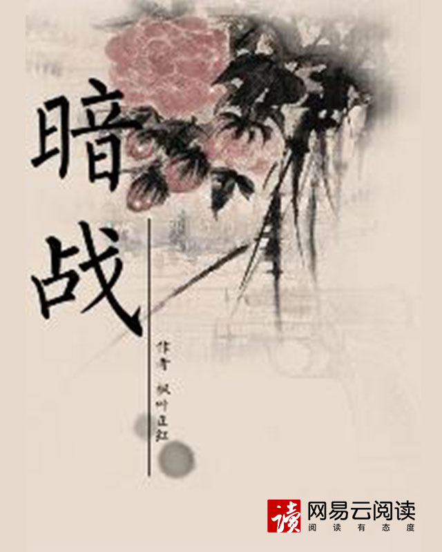 暗战完整版在线观看免费观看