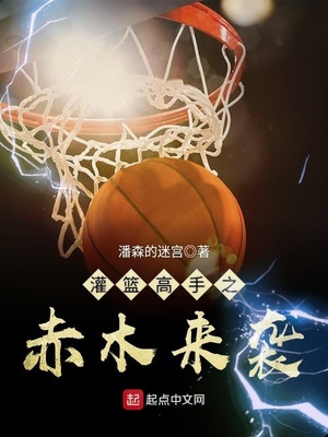 灌篮高手之赤木来袭txt