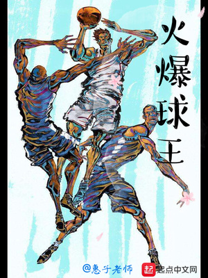 火爆球王 小说