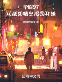华娱97从截胡精忠报国开始起点中文网