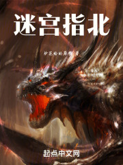 迷宫指北小说