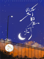 野星灯小说TXT
