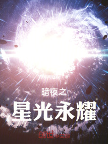 暗夜之星飞机