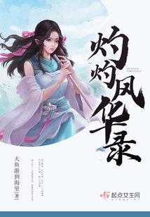 灼灼风华录