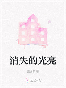 消失的光亮作文