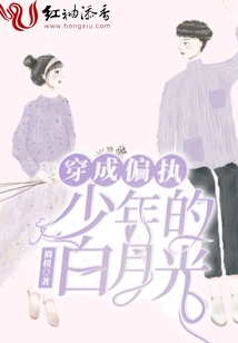 重生偏执少年的白月光小说