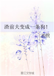 渣前夫变成一条狗无错版