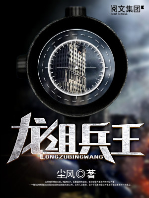 龙组兵王平板