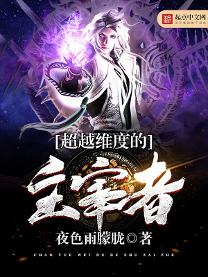 超越维度的主宰者txt