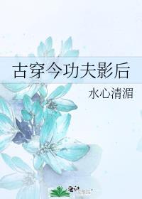 古穿今功夫影后txt