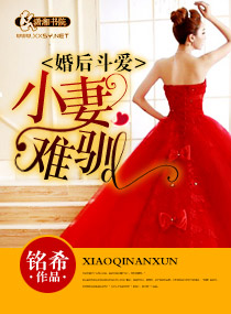 婚后斗爱之小妻难驯 小说