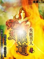 完美贼盗