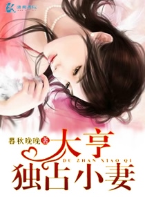 大亨独占小妻子小说