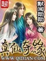 真仙奇缘怎么样