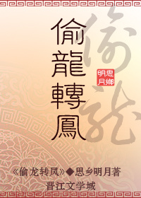 偷龙转凤的小说