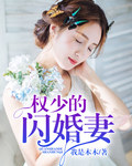 权少的闪婚妻最新章节