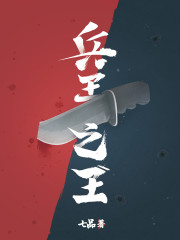 兵王之王TXT下载