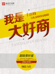 我是大商人小说