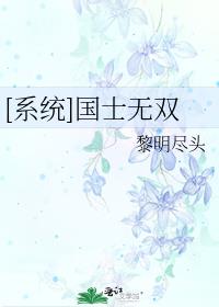 网络小说国士无双