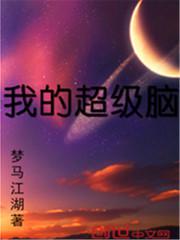 我的超级大脑