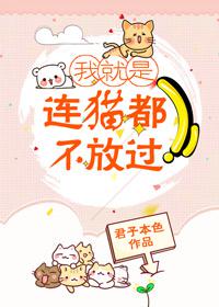我就是连猫都不放过gl