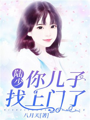 陆少你儿子找门来了