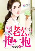 娇妻要抱抱蓝少的心宝
