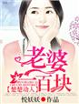 楚楚动人老婆一百块小说免费