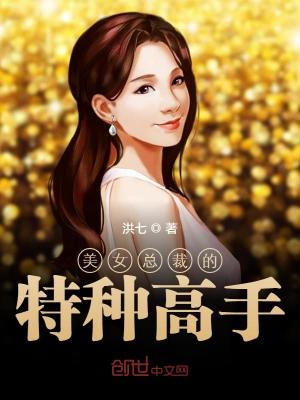 美女总裁的特种高手小说