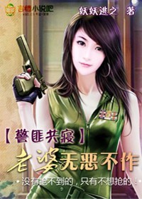 警匪共寝:老婆无恶不作全文在线阅读